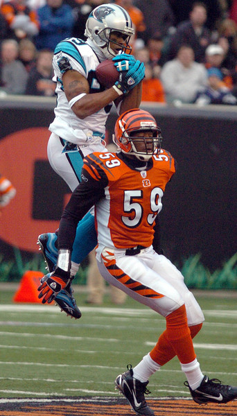 Steve Smith
