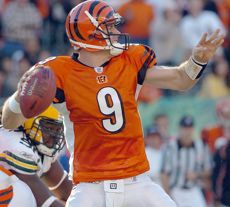 Carson Palmer