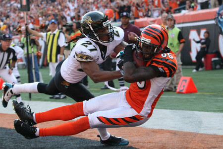Chad Johnson
