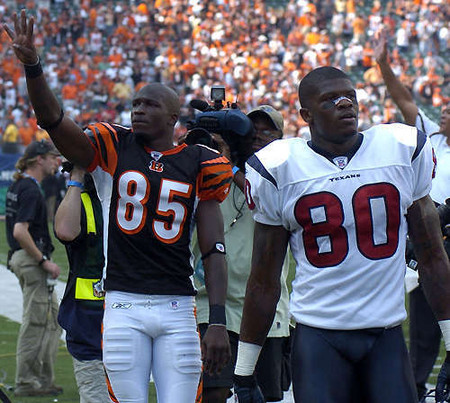Chad Johnson and Andre Johnson