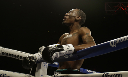 Champion Boxing | Sports Photography