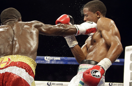 Champion Boxing | Sports Photography