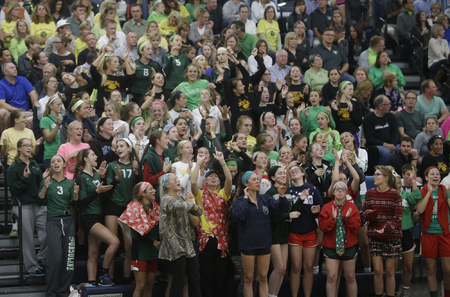 Ursuline fans cheer on the Lions.